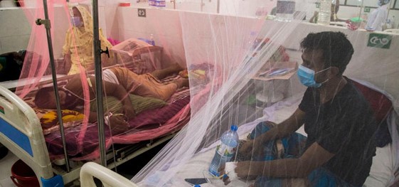 Two dengue patients die, 381 hospitalized in 24 hrs