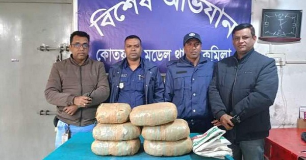 special operation of Comilla Kotwali Model Police:11 kg cannabis recovered 