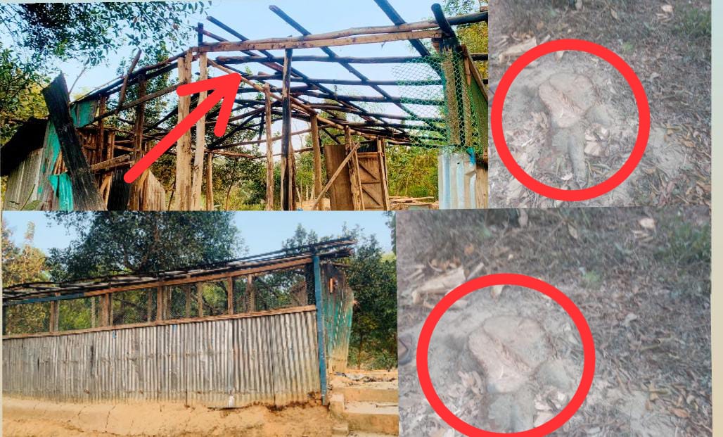  Court Case Filed Against Outsider Land Grabbers for Forcefully Occupying Land, Destroying Homes, and Cutting Trees in Lama